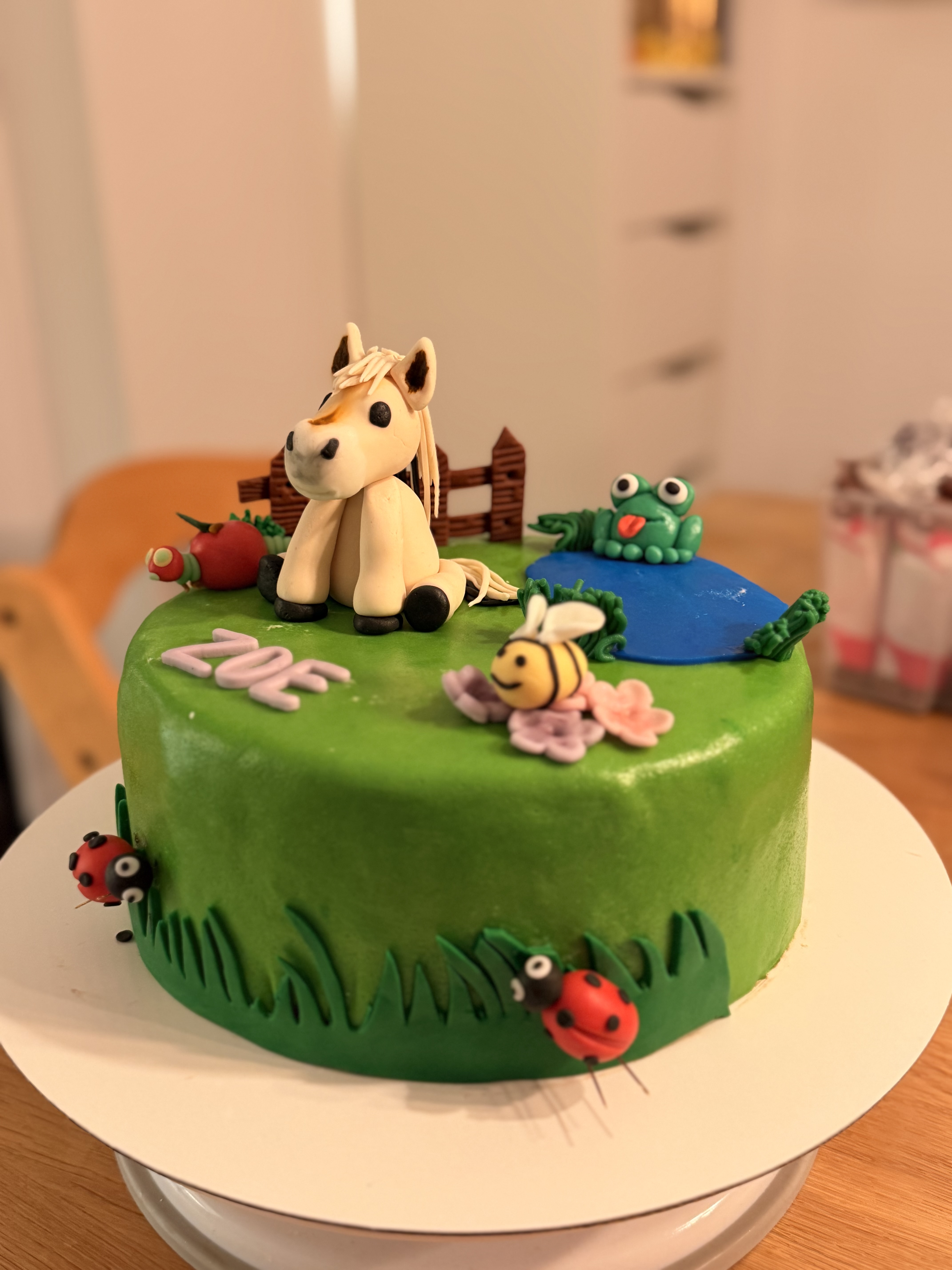 Pferde-Geburtstag