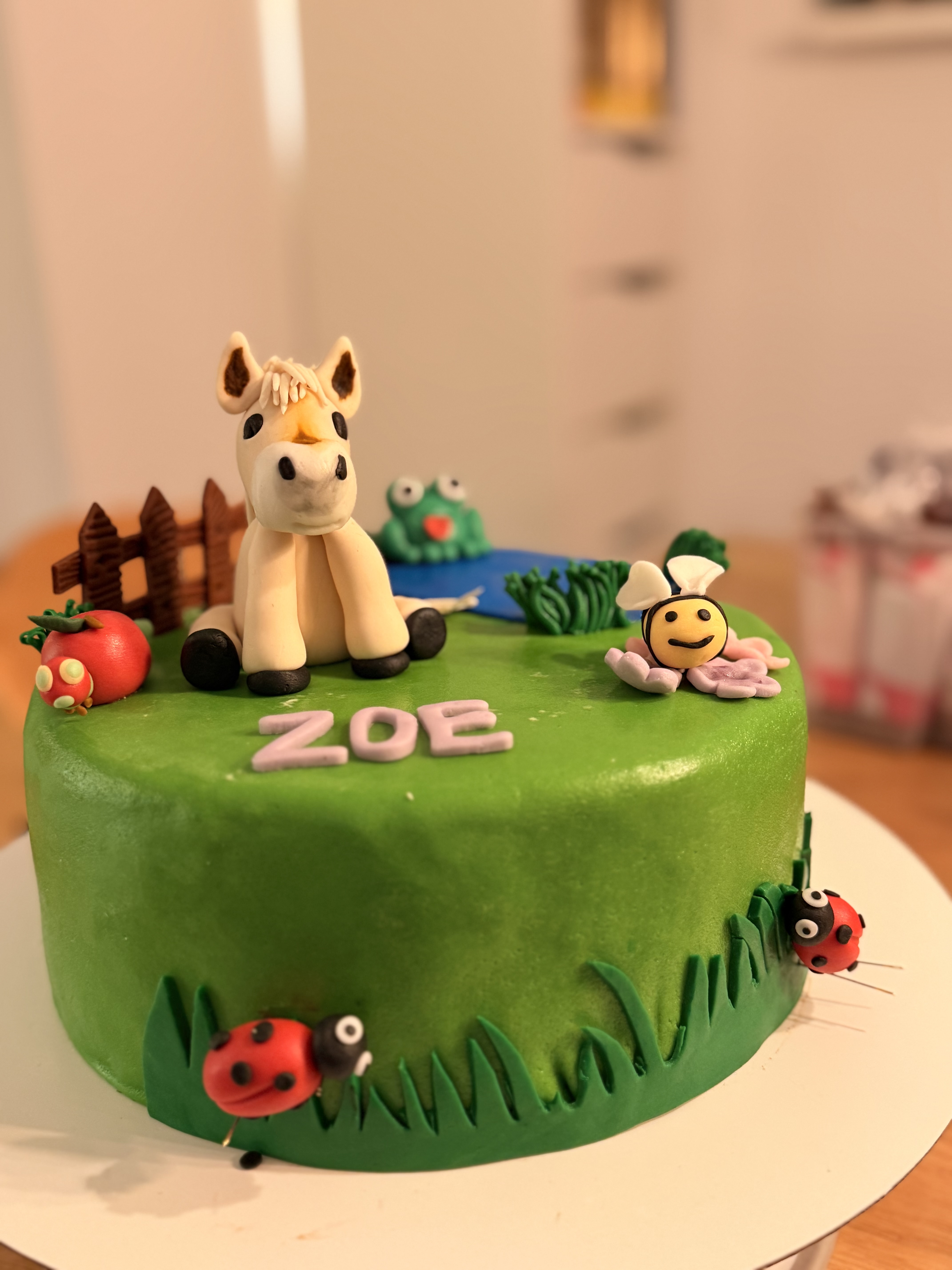 Pferde-Geburtstag – Ansicht 2